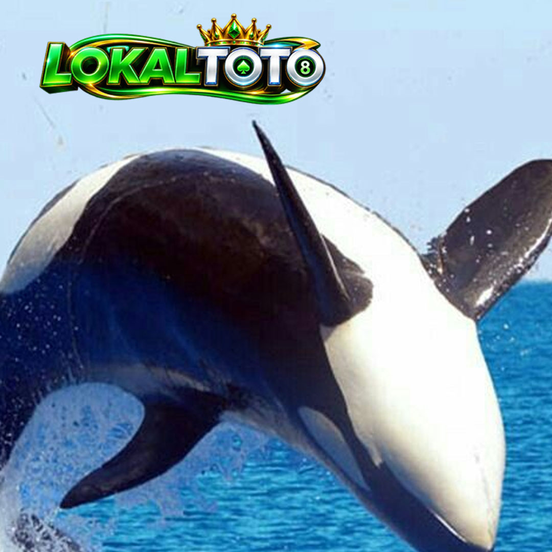 LOKALTOTO : Transport > Jalan Pintas Anda Menuju Kemenangan Di Situs Togel 4D Resmi